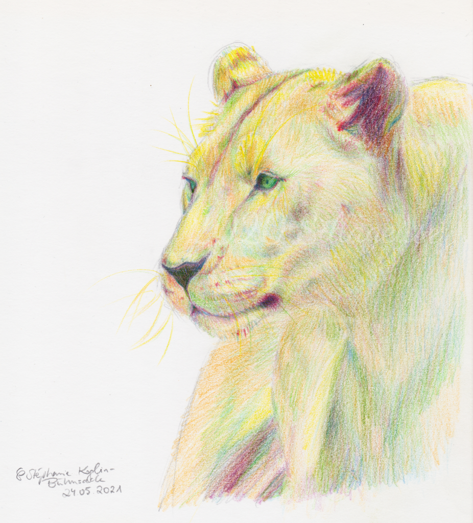 Panthera Leo by Sillageuse, 2021